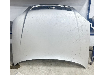 Opel astra G 98-05 ön kabut